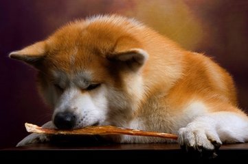 metamask钱包苹果版